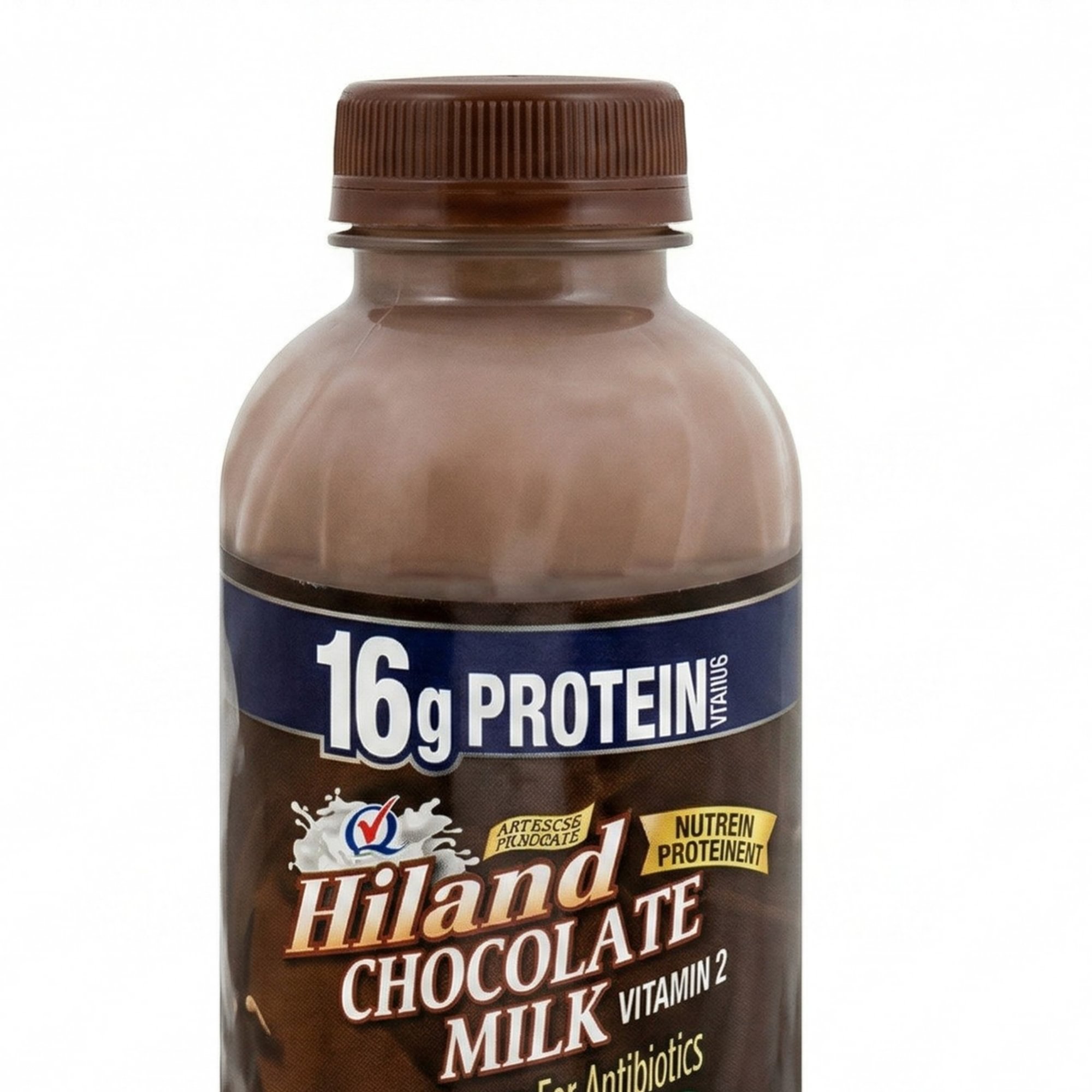 Chocolate Milk