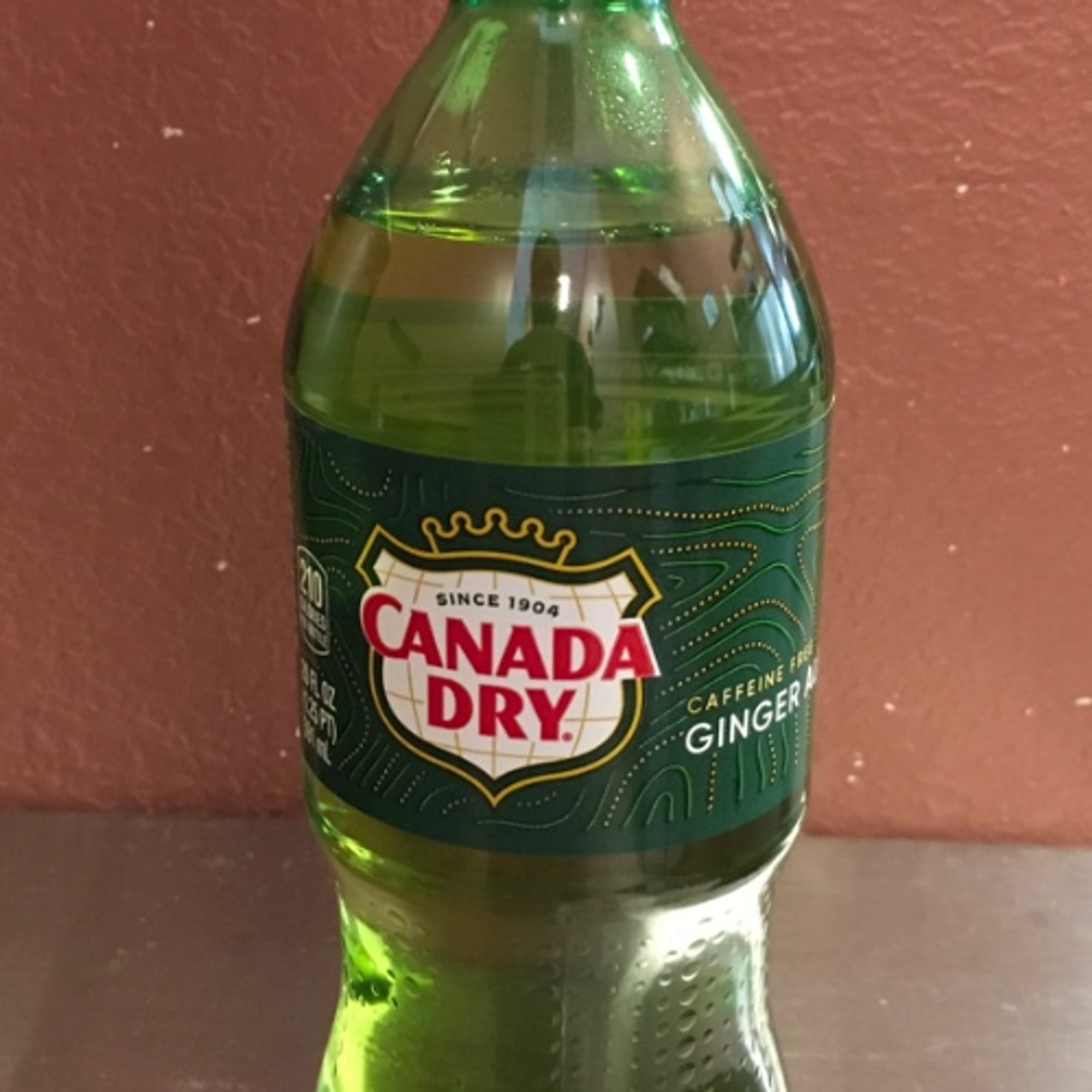 Ginger Ale (20oz)