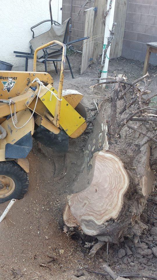 Pendleton Tree Service Yuma, AZ Business Profile