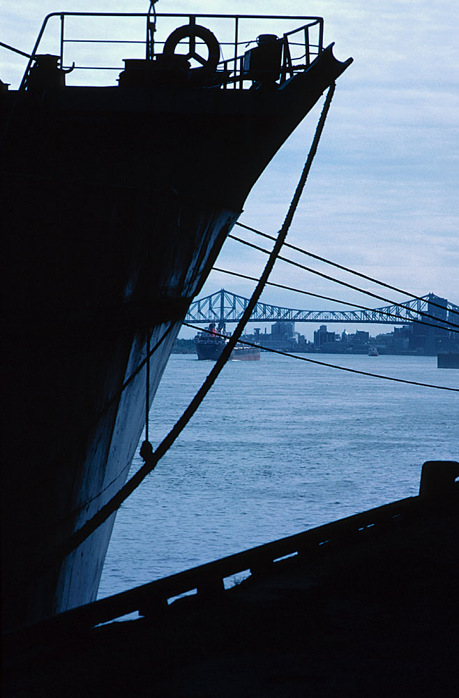 Zachary Maritime Consulting Services (Domus Consilium LLC) Logo