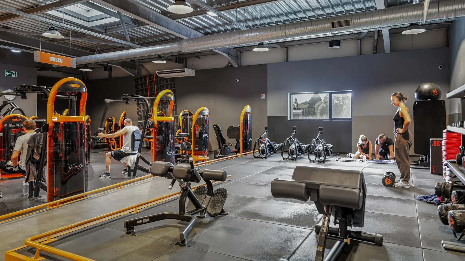 Miniature de la galerie