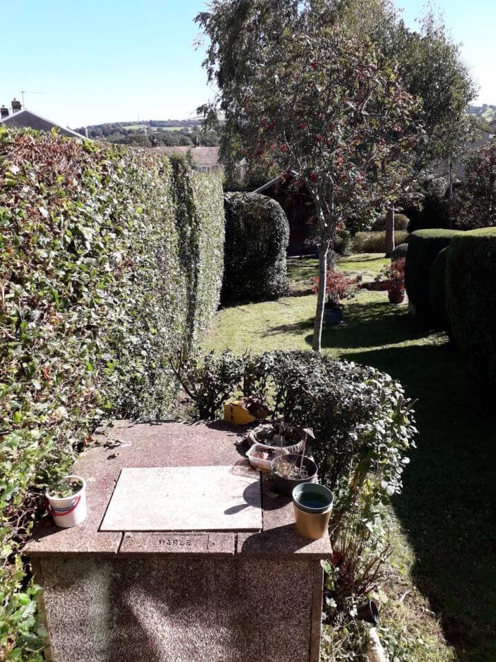 Images County Tree Services