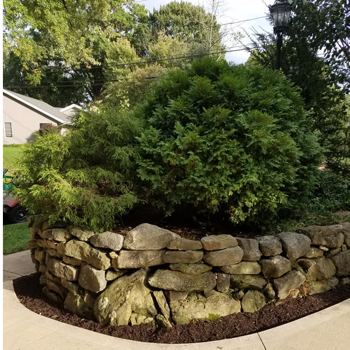 Toby's Home and Lawn Care, LLC Logo