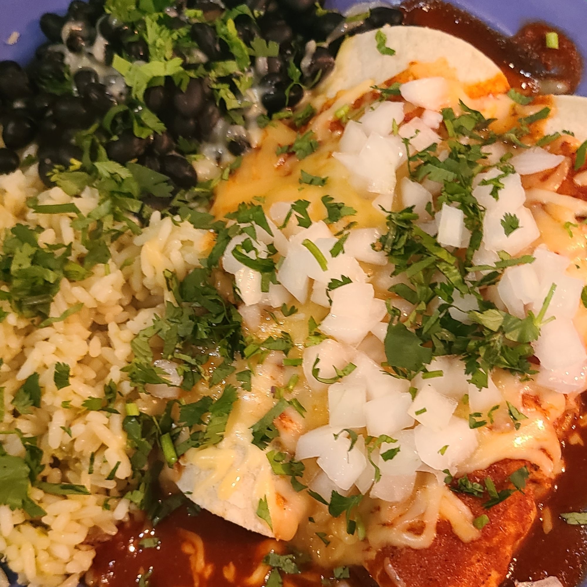 Birria Enchiladas