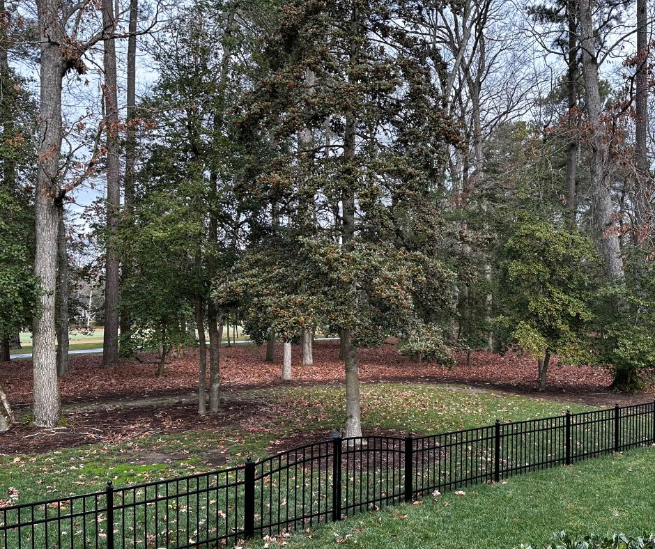 Top Rail Fence Knoxville Image