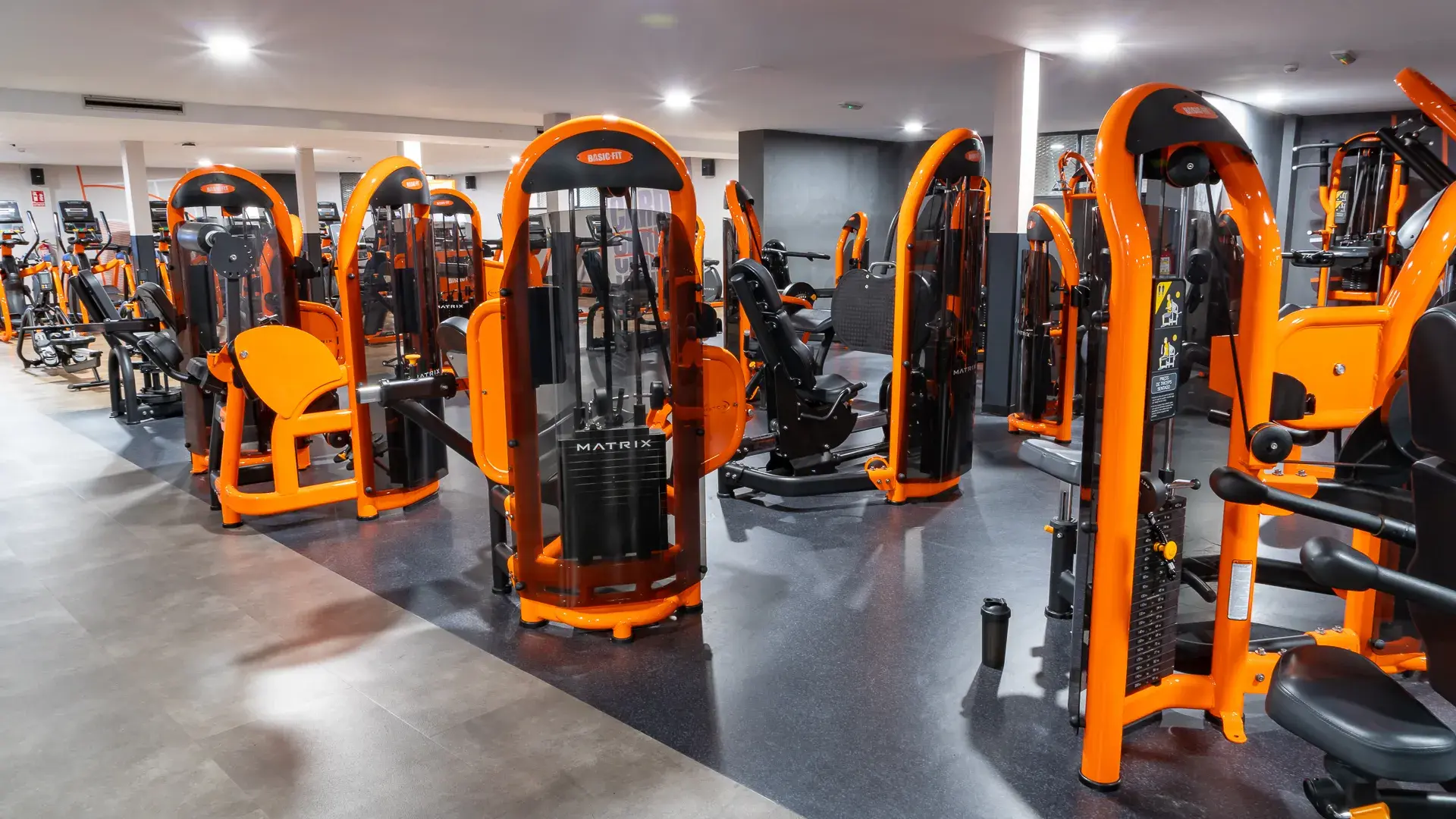 Galería de imágenes