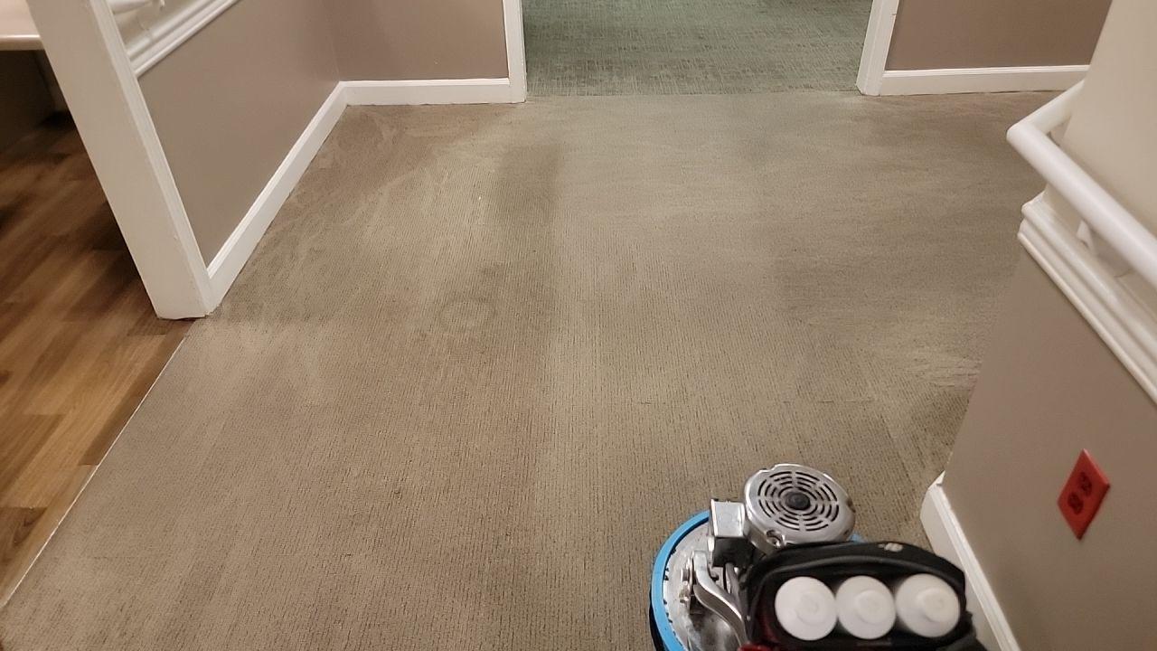 My Carpet Cleaning & Restoration Service Image