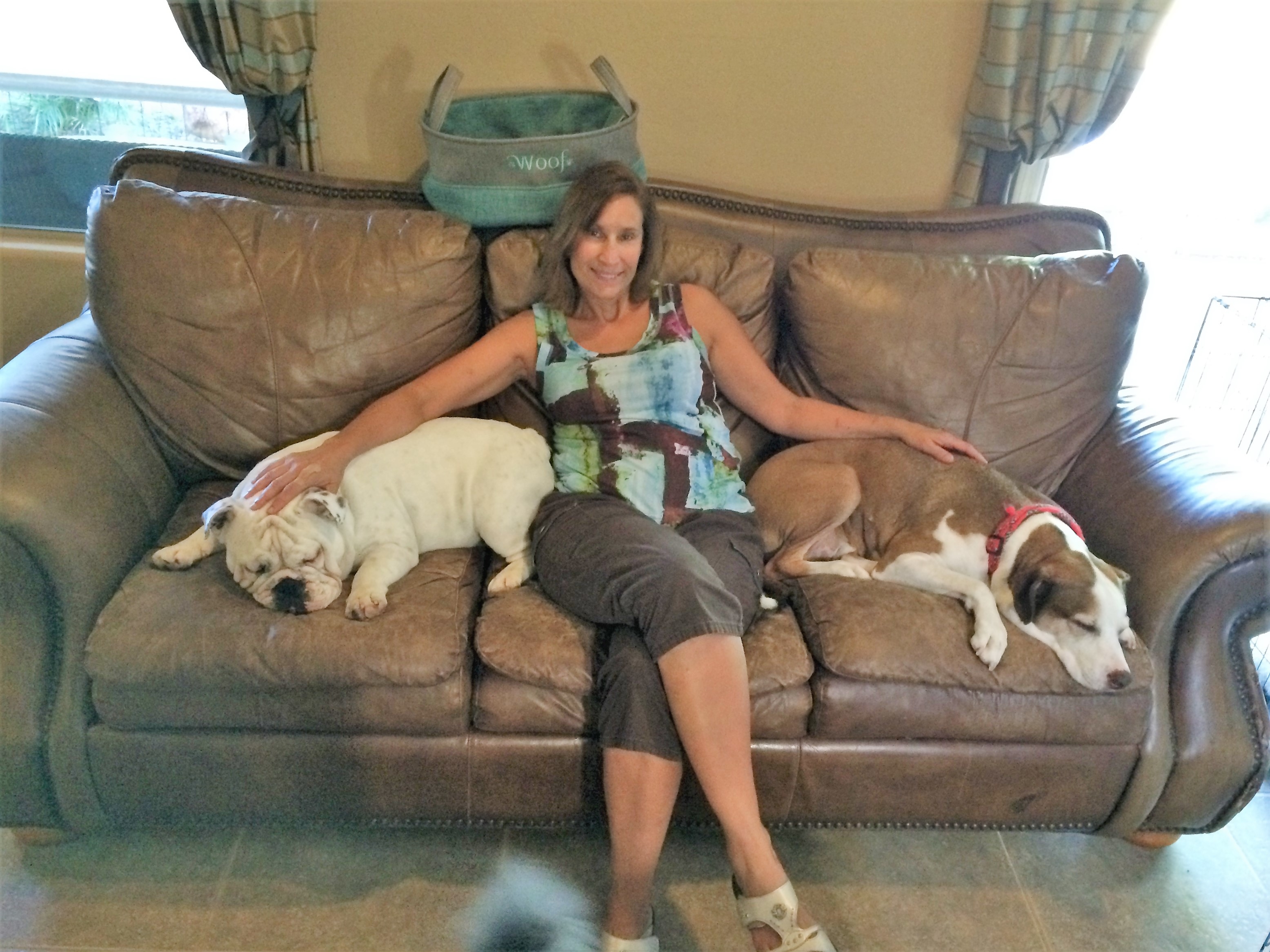 Denise's Home Sweet Home Pet Sitting Photo