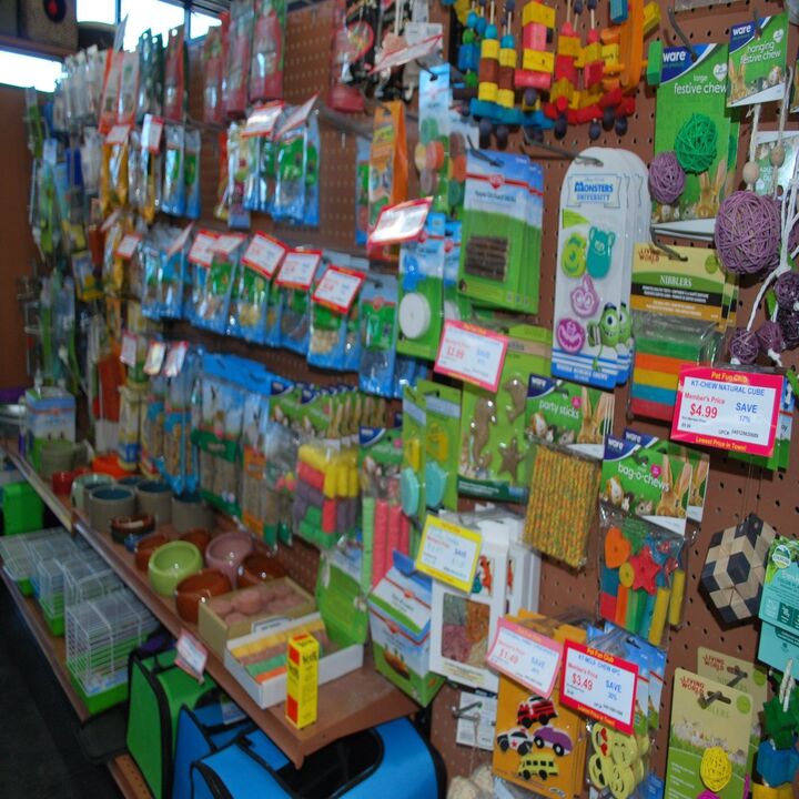 Pet Fun At Harden Ranch Plaza Image