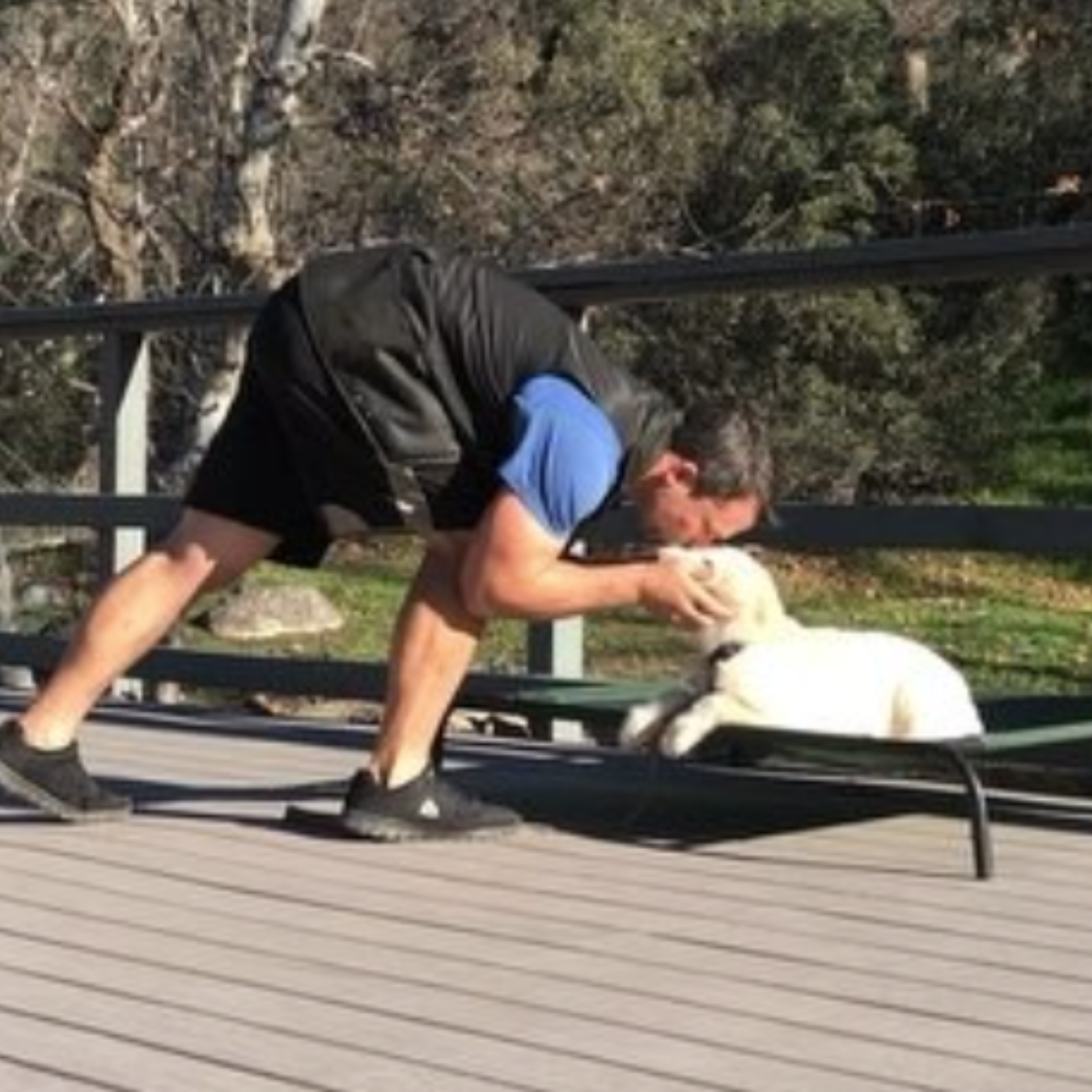Nate Schoemer Dog Training Image