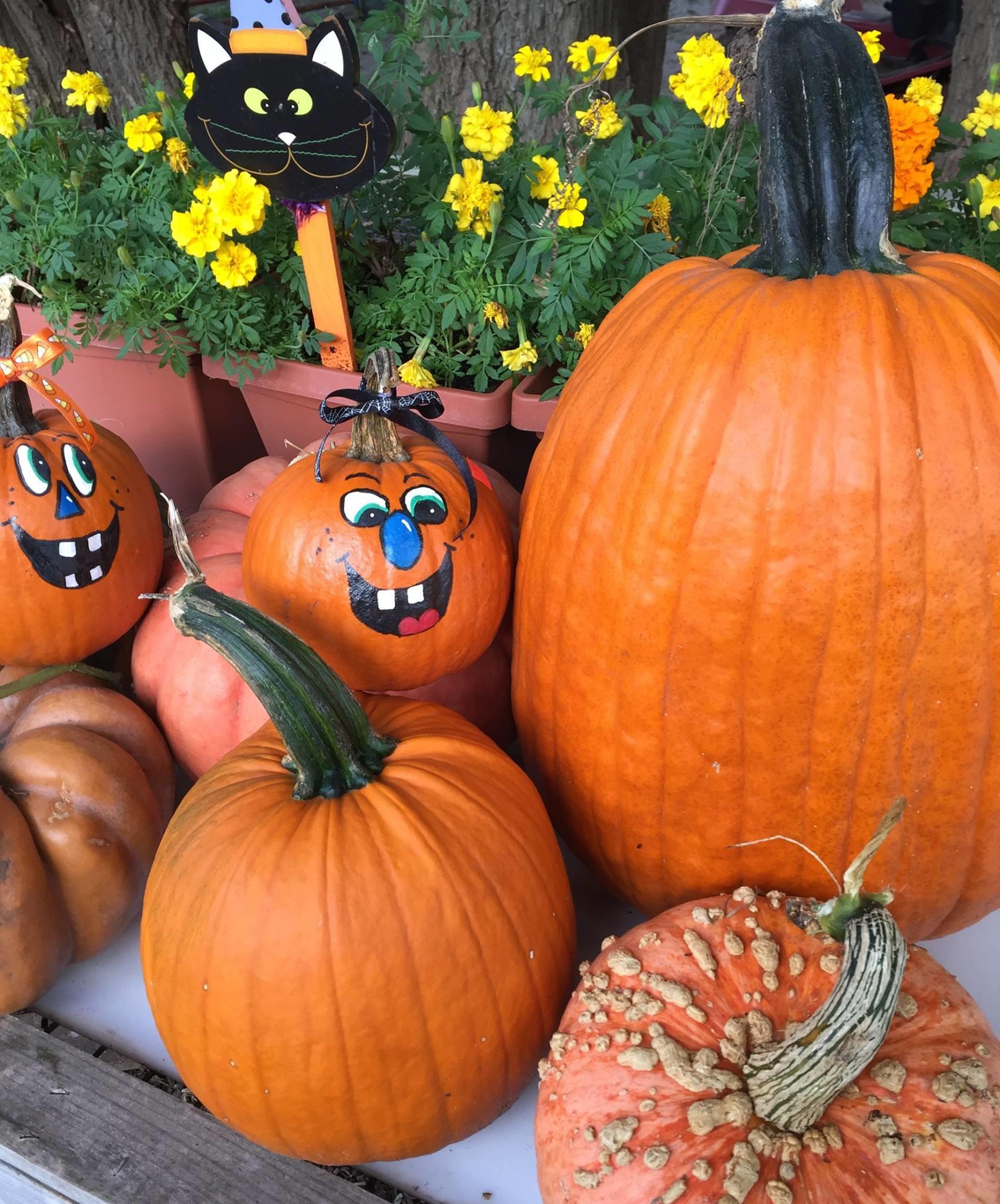 Heartland Farms, 5111 Osage Rd, Waterloo, IA MapQuest