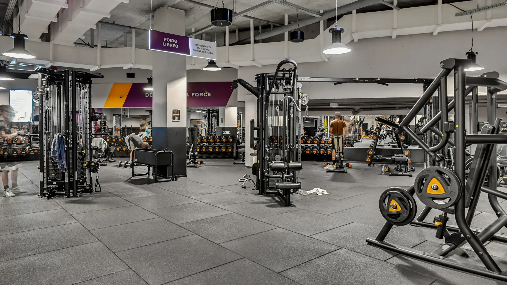 Miniature de la galerie