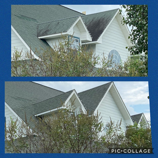 Blue Co Pressure Washing Services LLC Logo