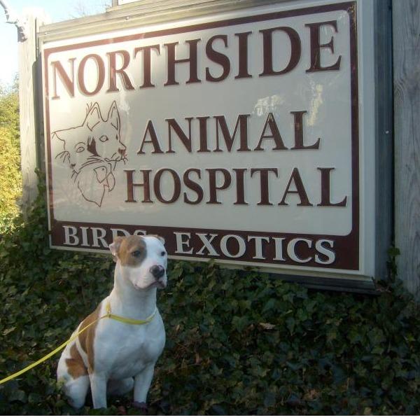 Northside Animal Hospital Photo