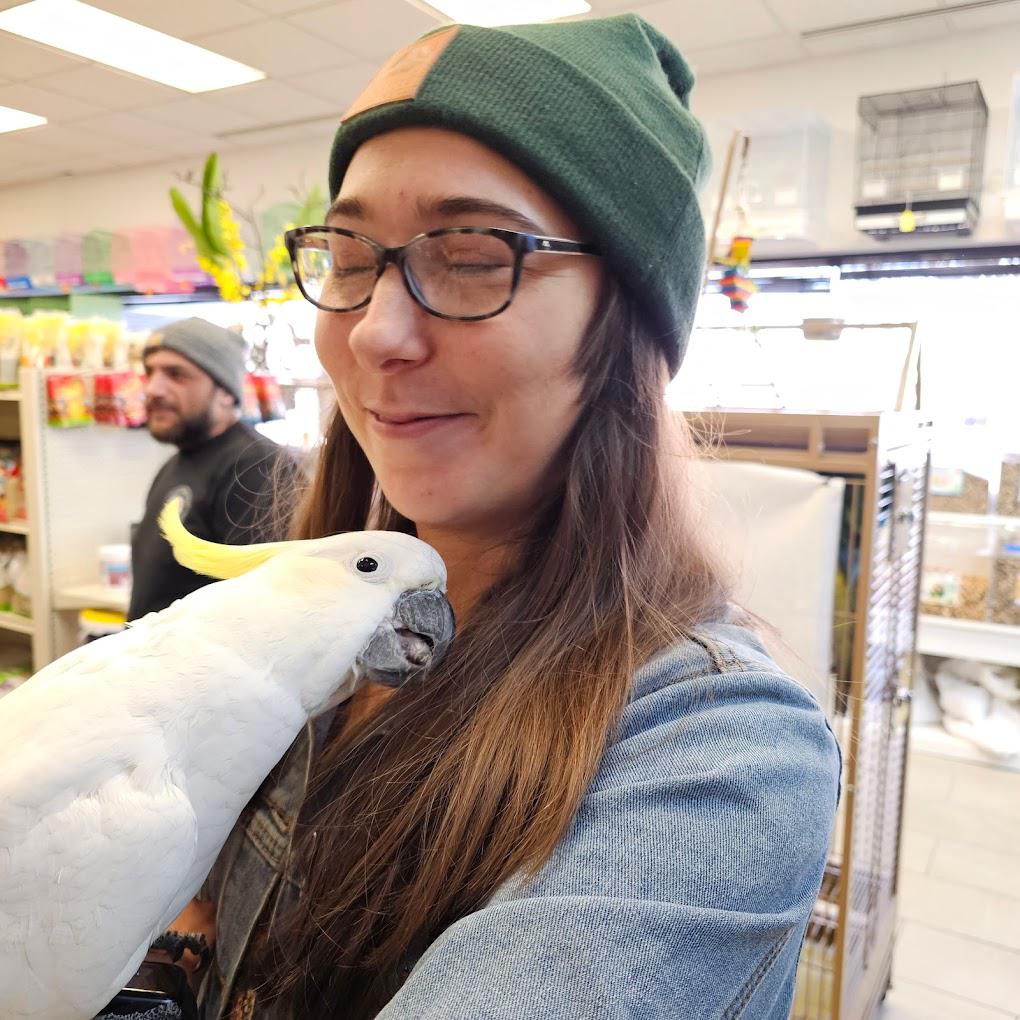 Exotic Bird Shop Image