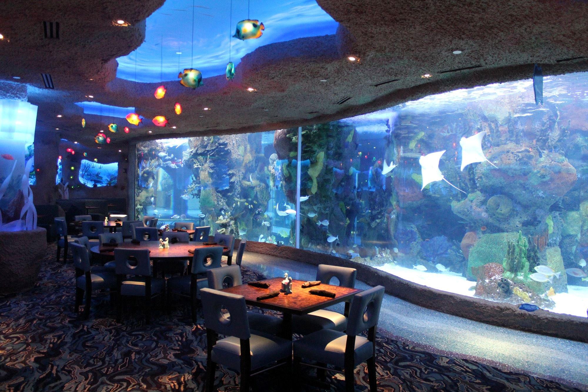 Aquarium Restaurant Coupons near me in Nashville 8coupons