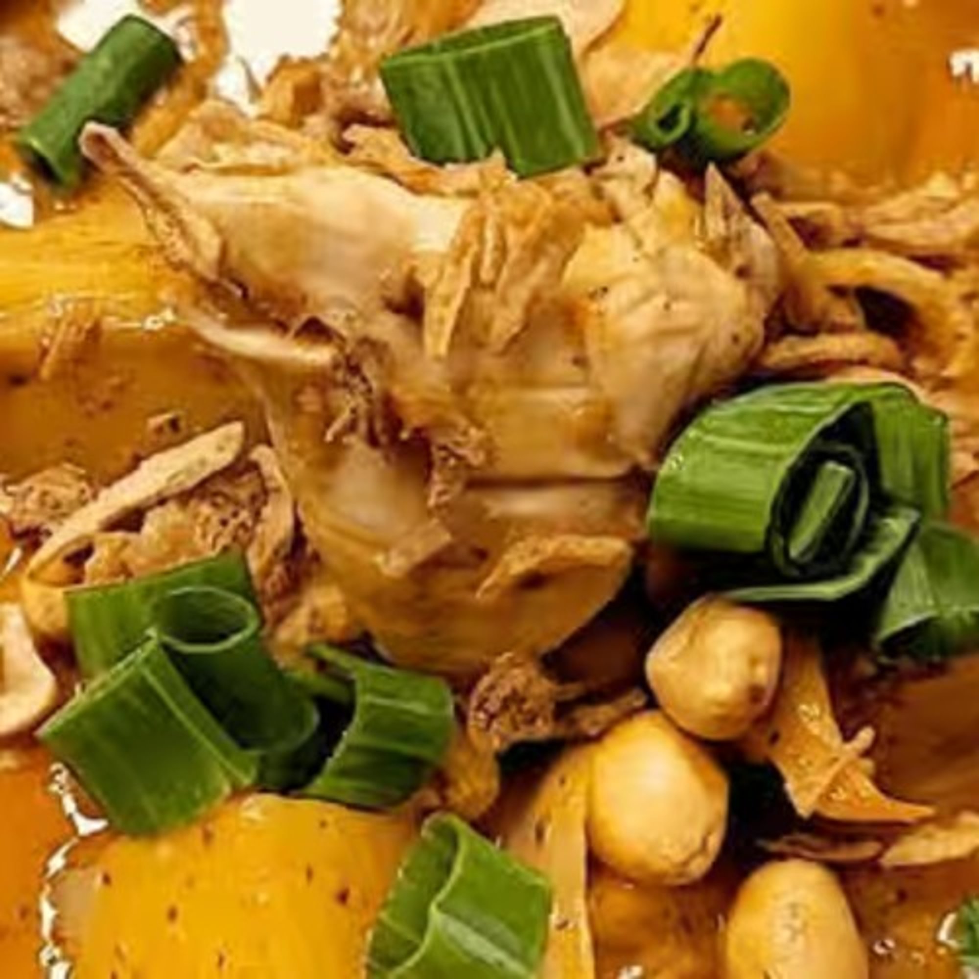 Massaman Curry Special