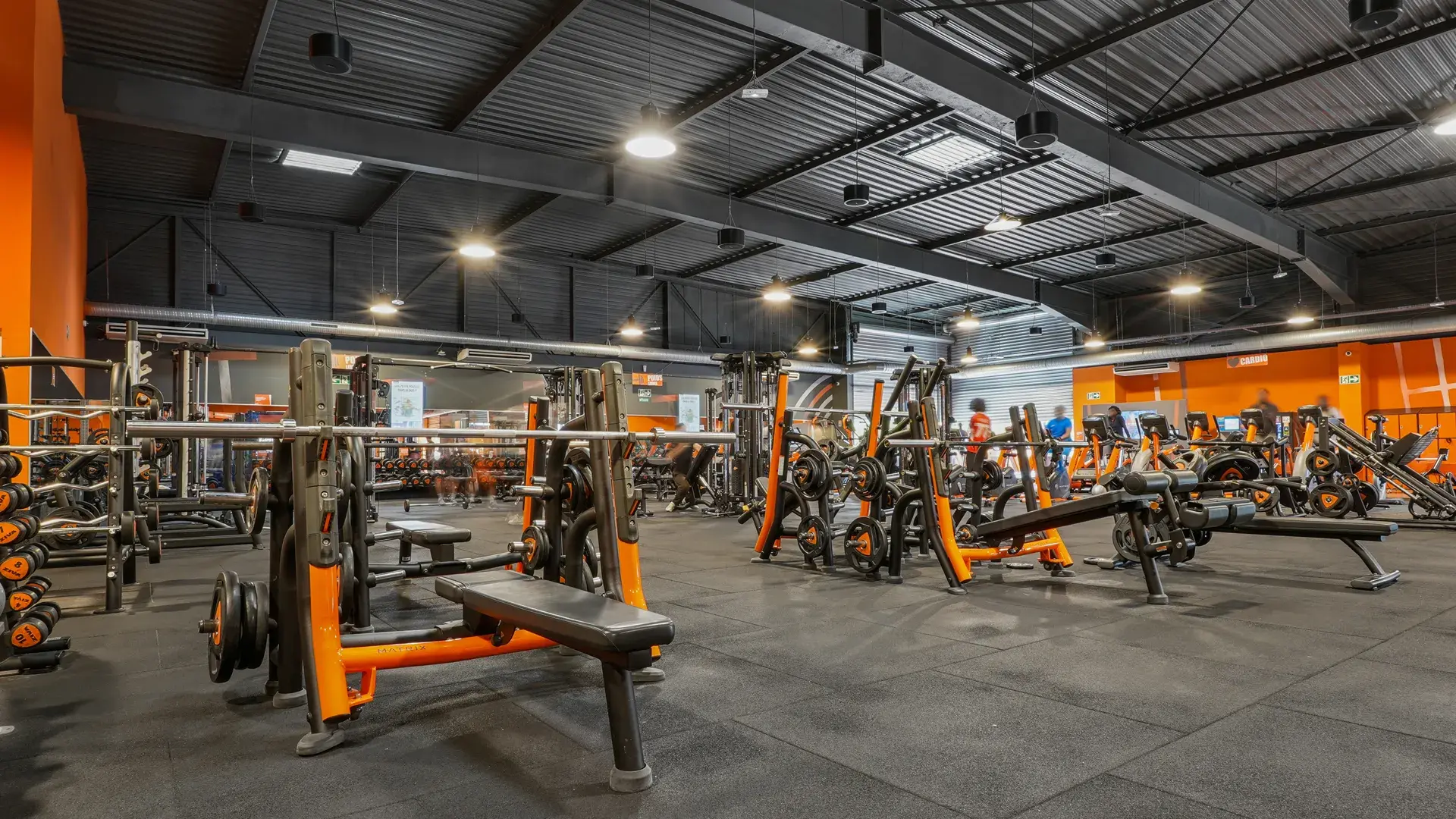 Miniature de la galerie