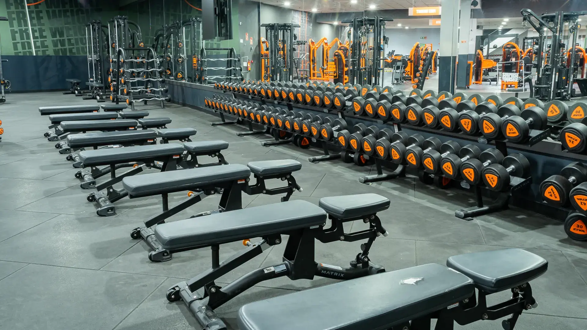 Galería de imágenes