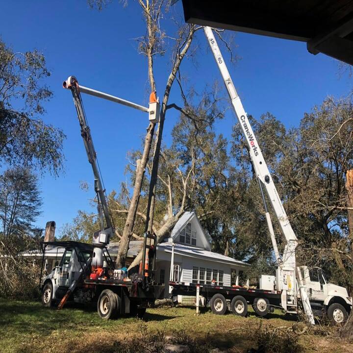 All Timber Tree Service LLC Image