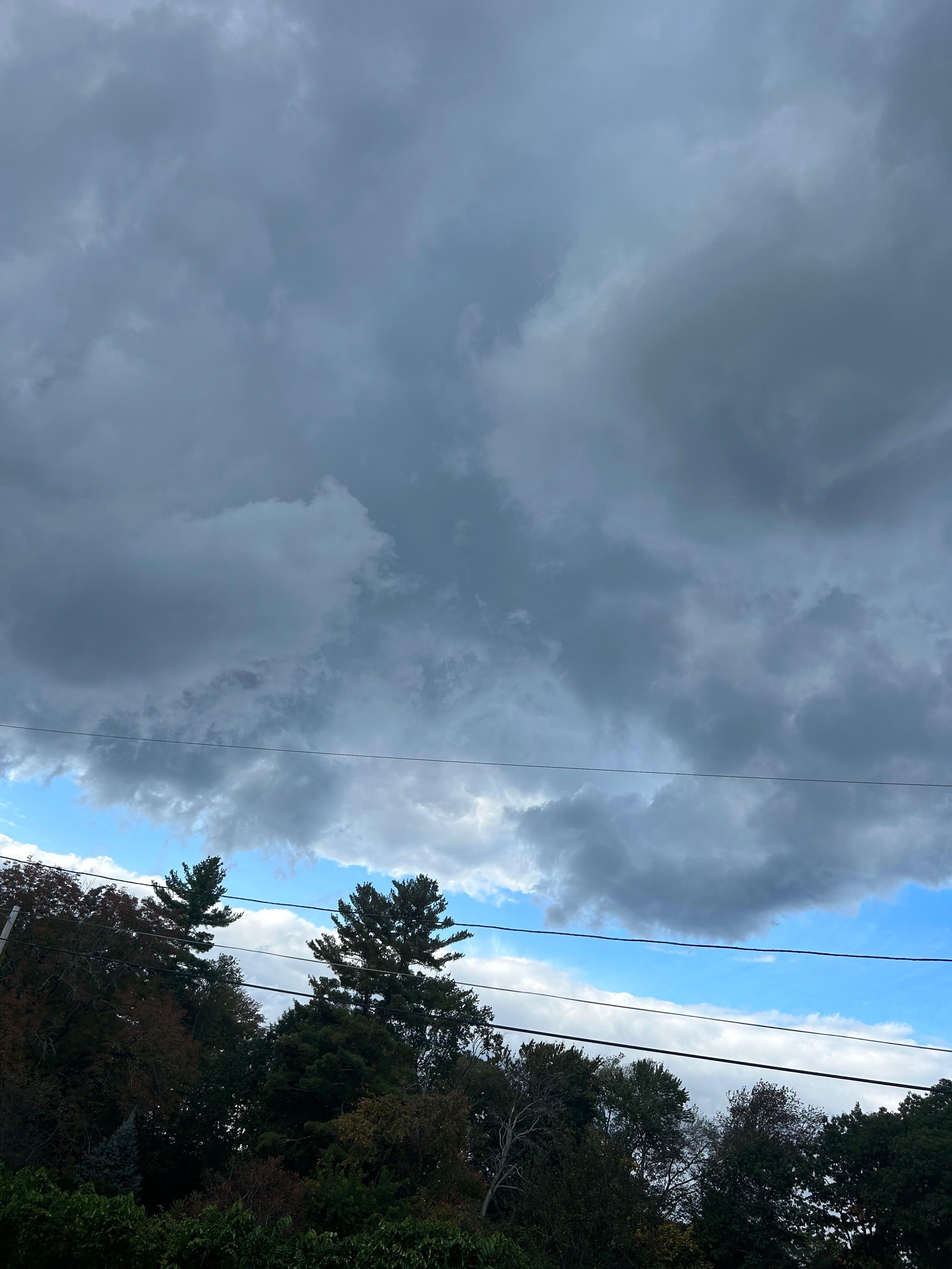 McDonald Tree Service Image