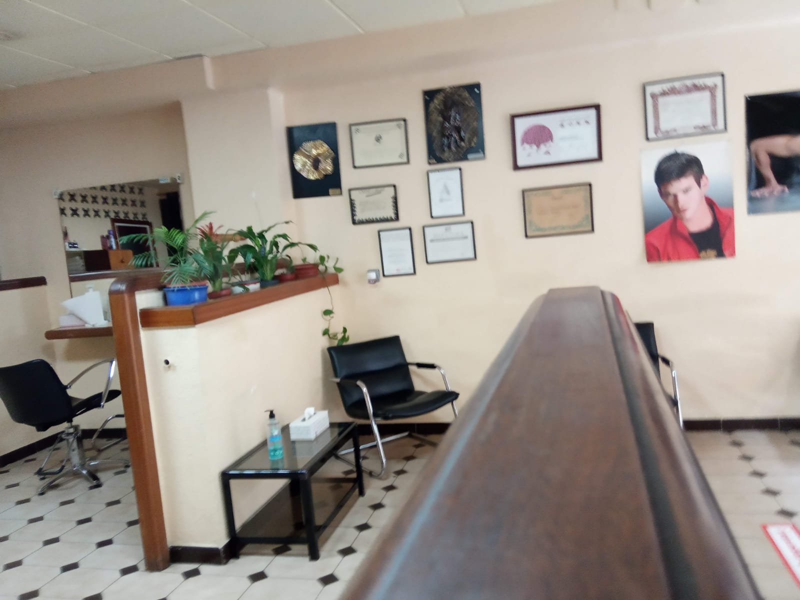 Galería en miniatura
