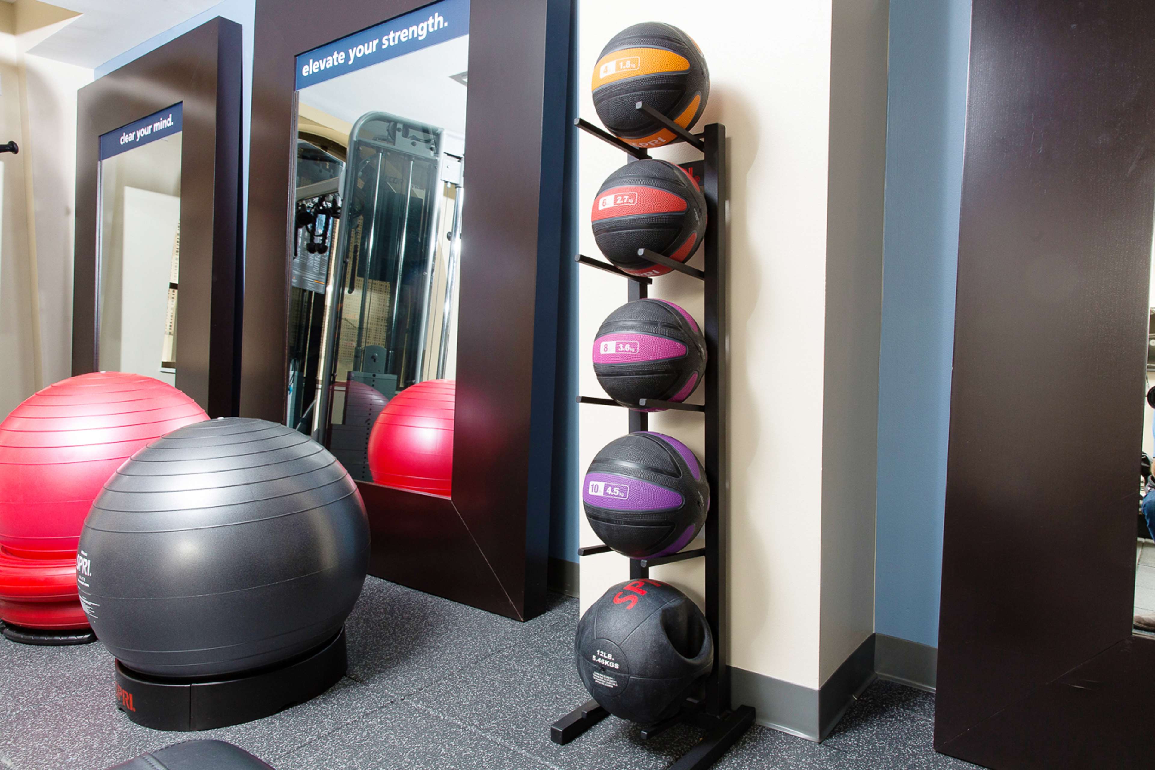 Health club  fitness center  gym
