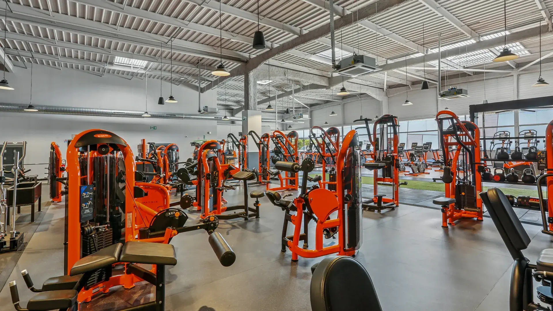 Miniature de la galerie