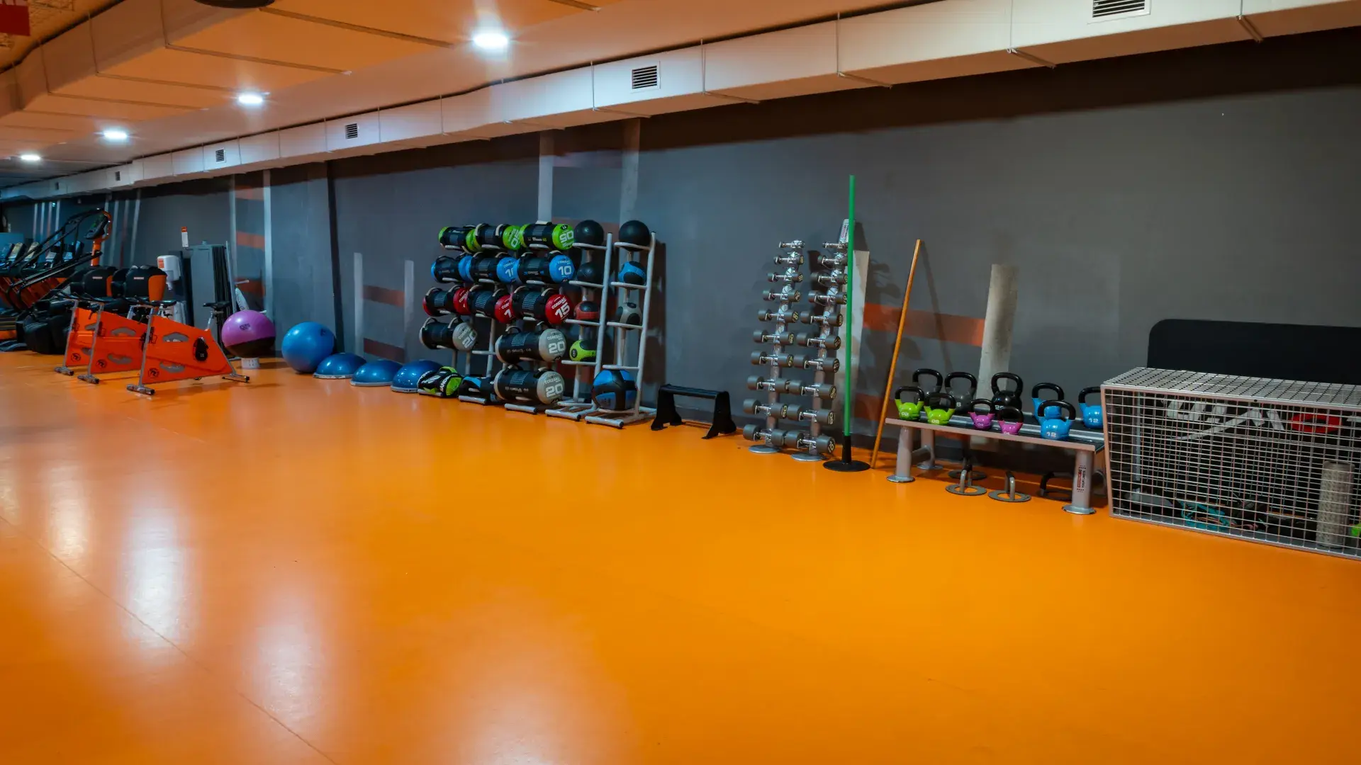 Galería en miniatura