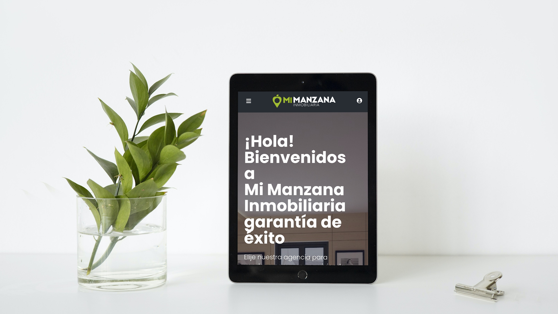 Galería en miniatura