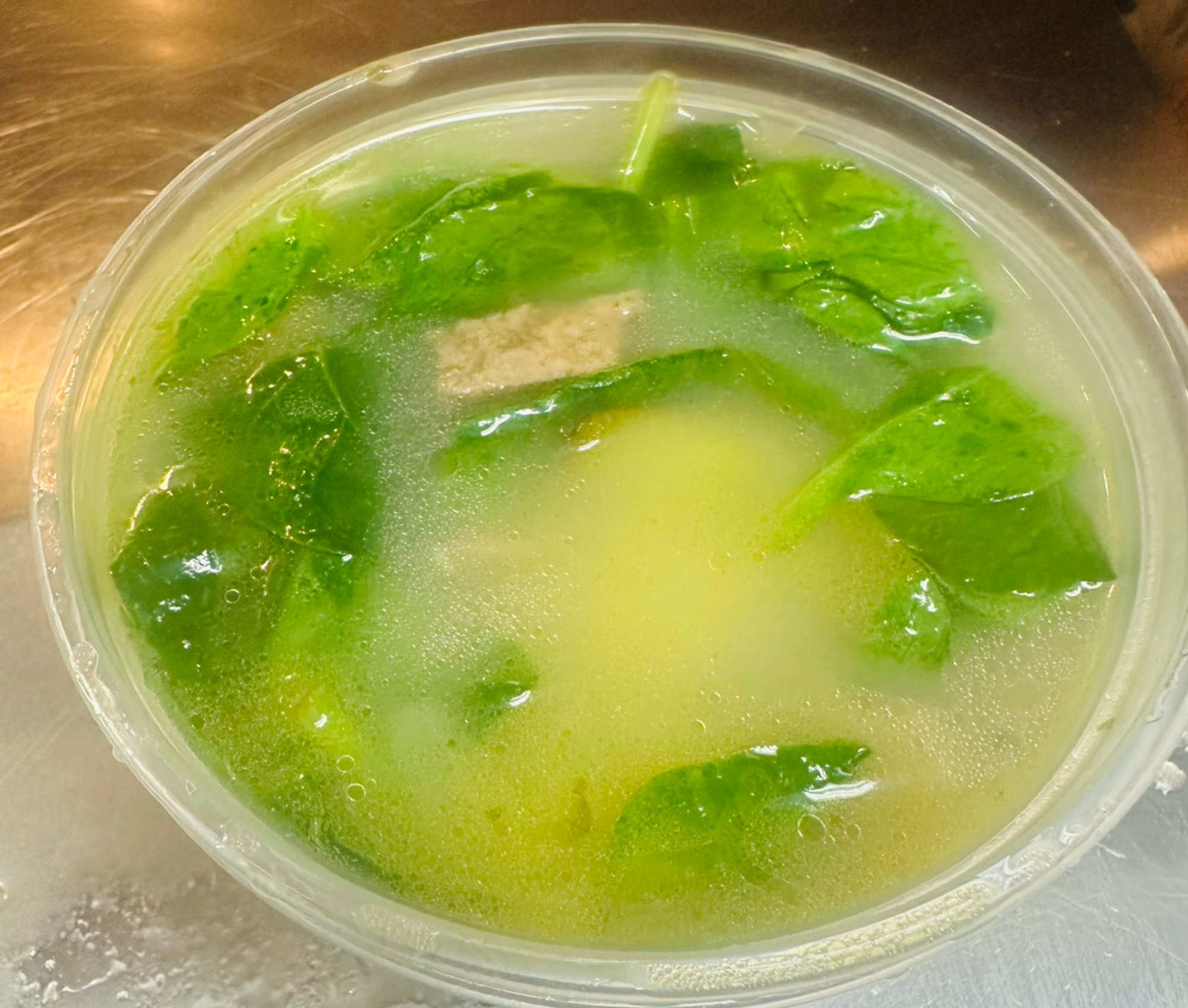 Italian Wedding Soup
