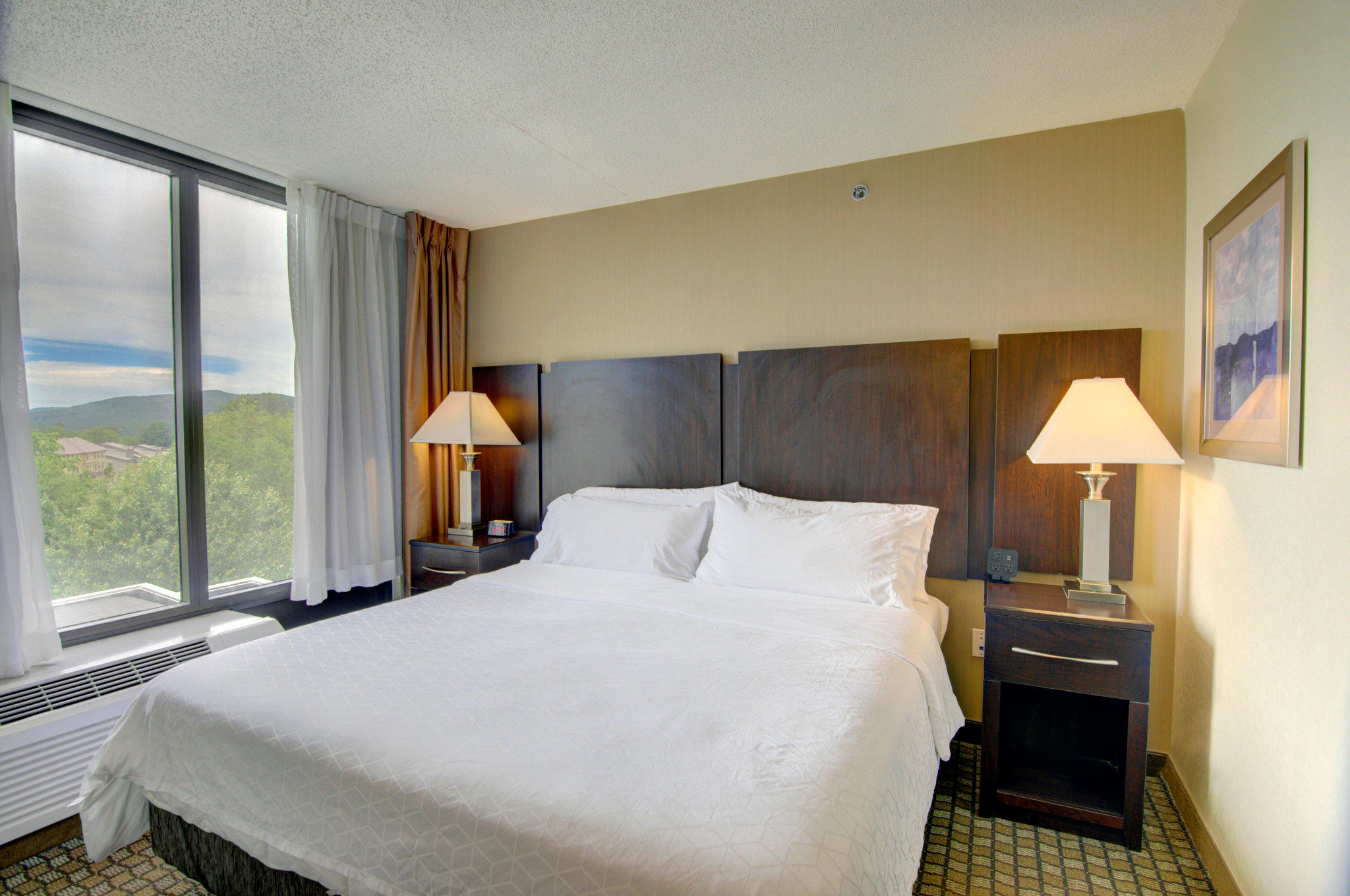 Holiday Inn Express & Suites Blacksburg - University Area Photo