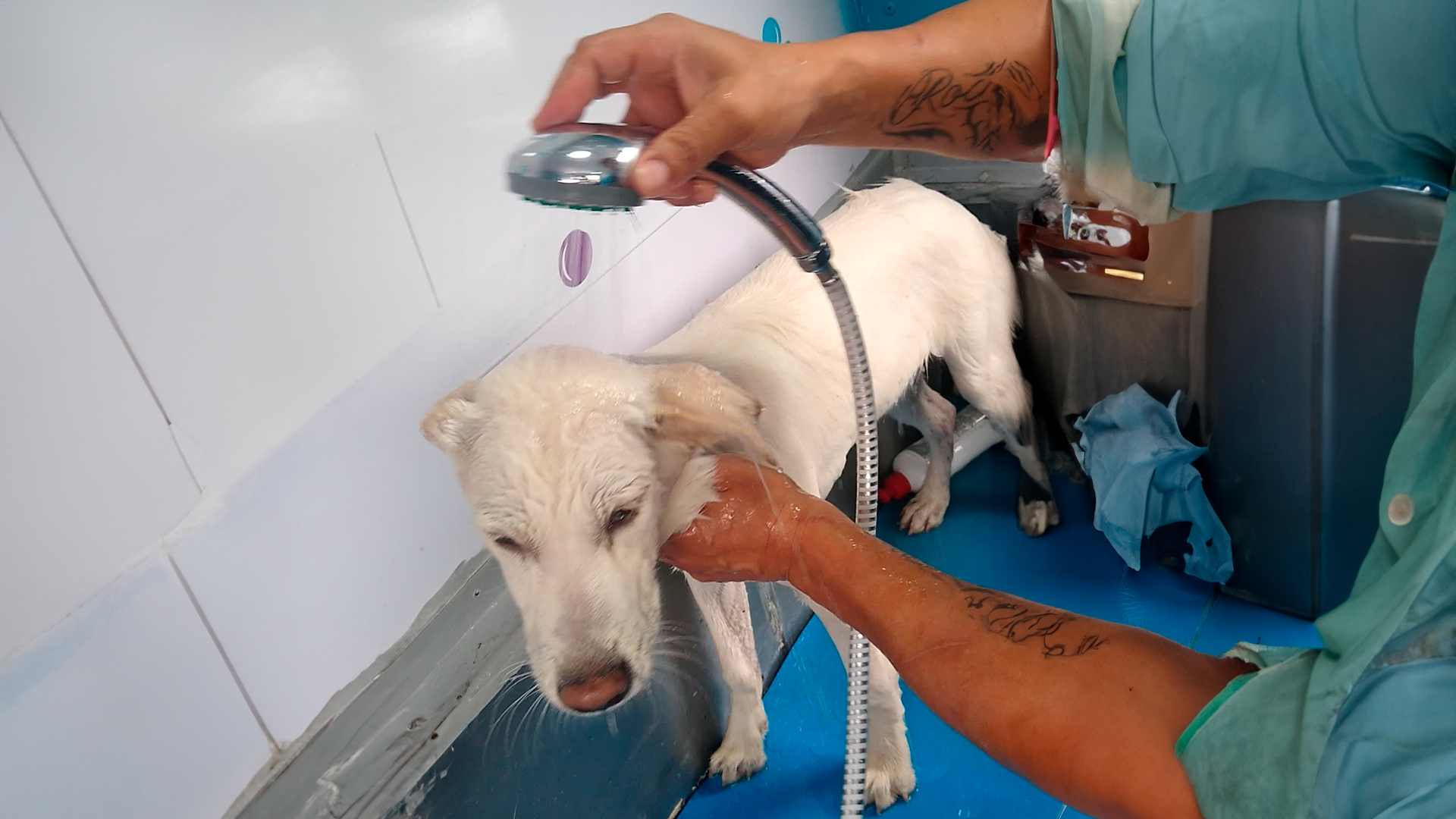 Galería en miniatura