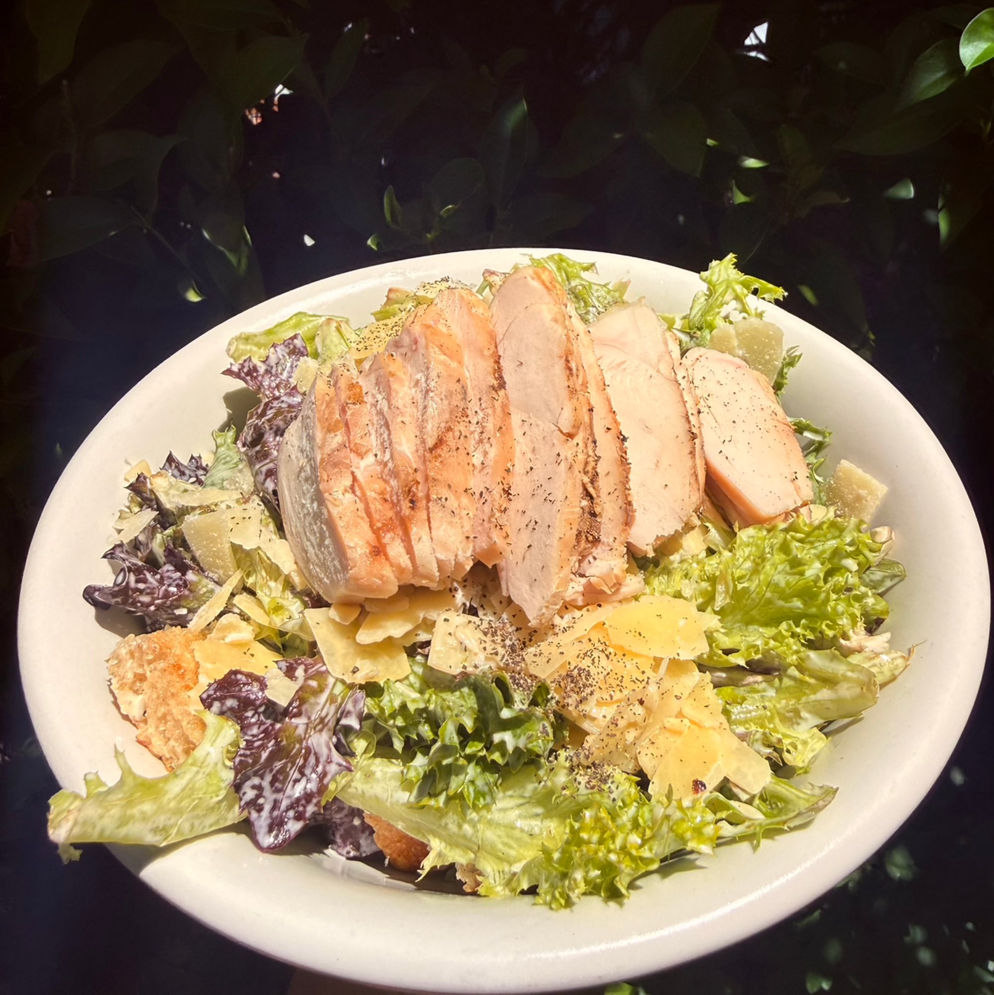 The Chicken Caesar Salad