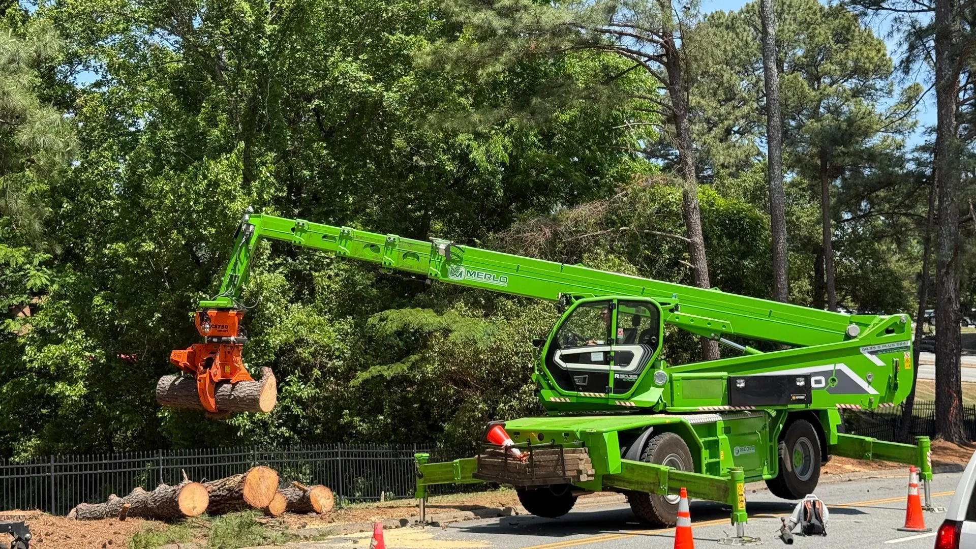 Tree Removal