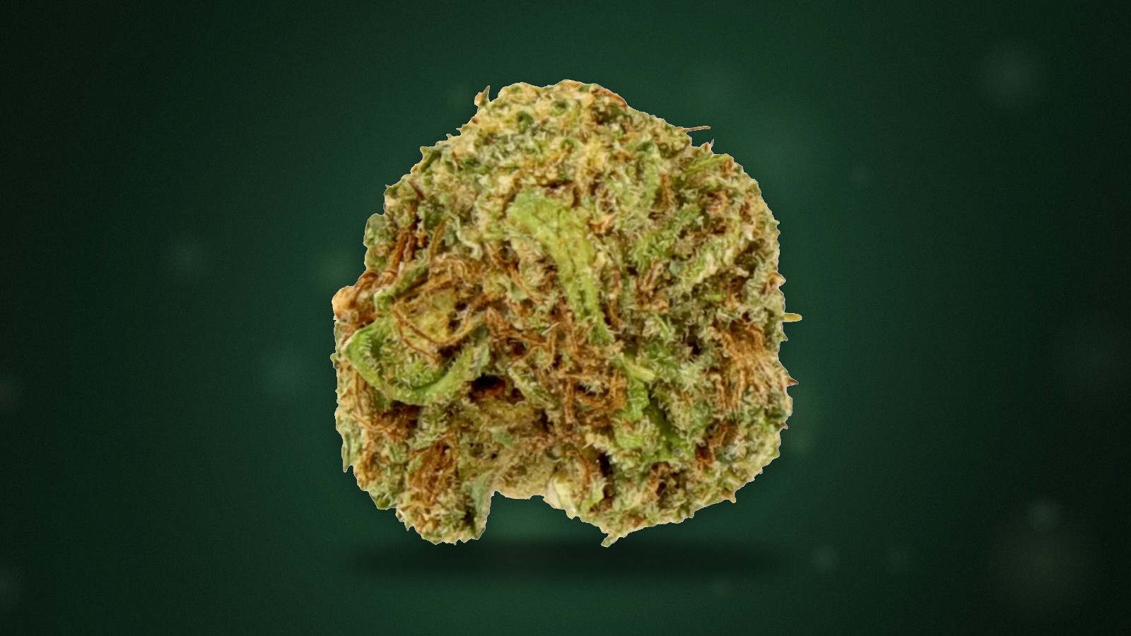 CBD flowers – light cannabis with less than 1% THC