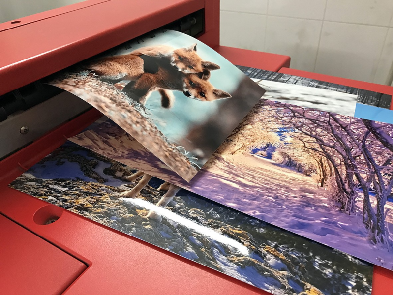 Gallery thumbnail