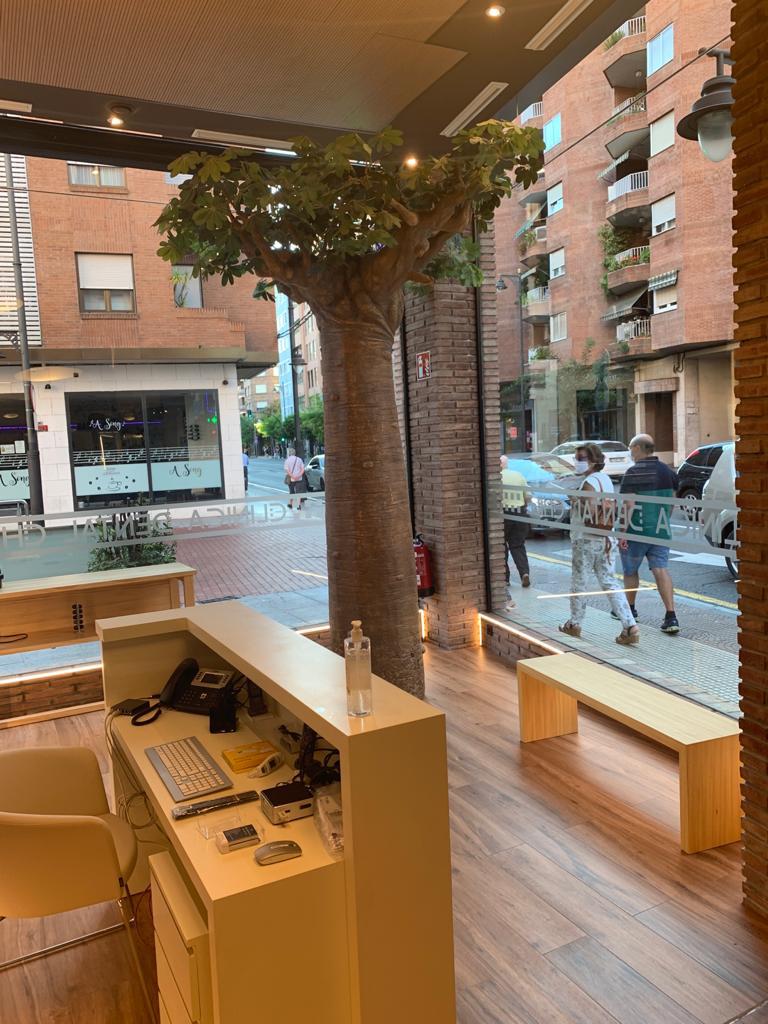 Galería en miniatura