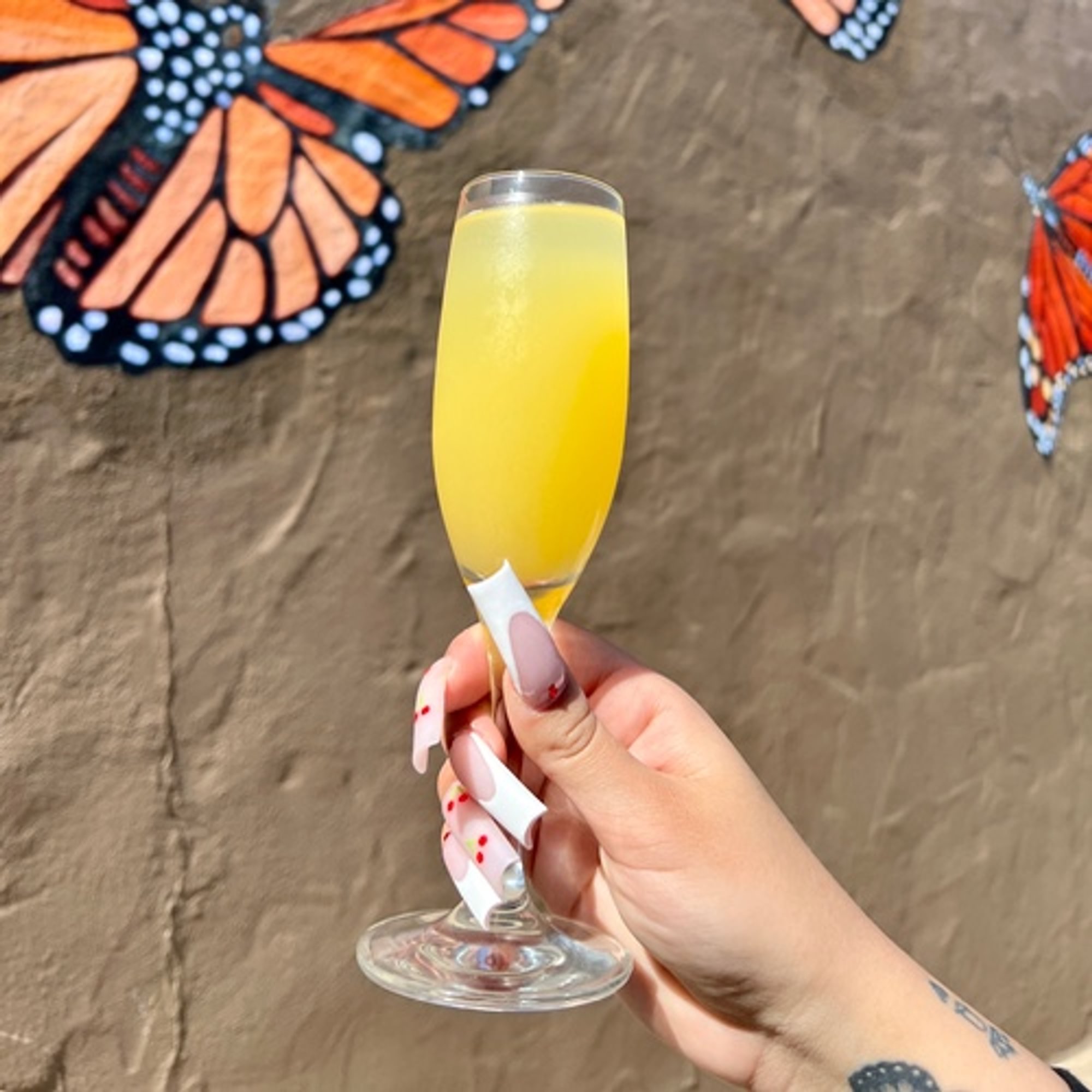 Classic Mimosa