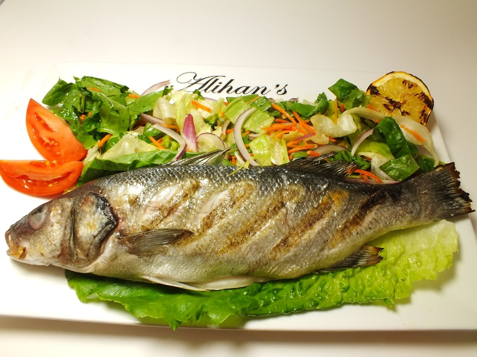 Levrek Sea Bass