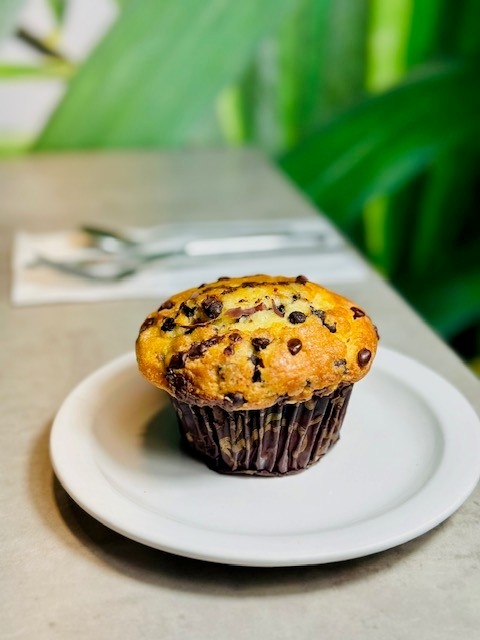 Chocolate Chip Muffin
