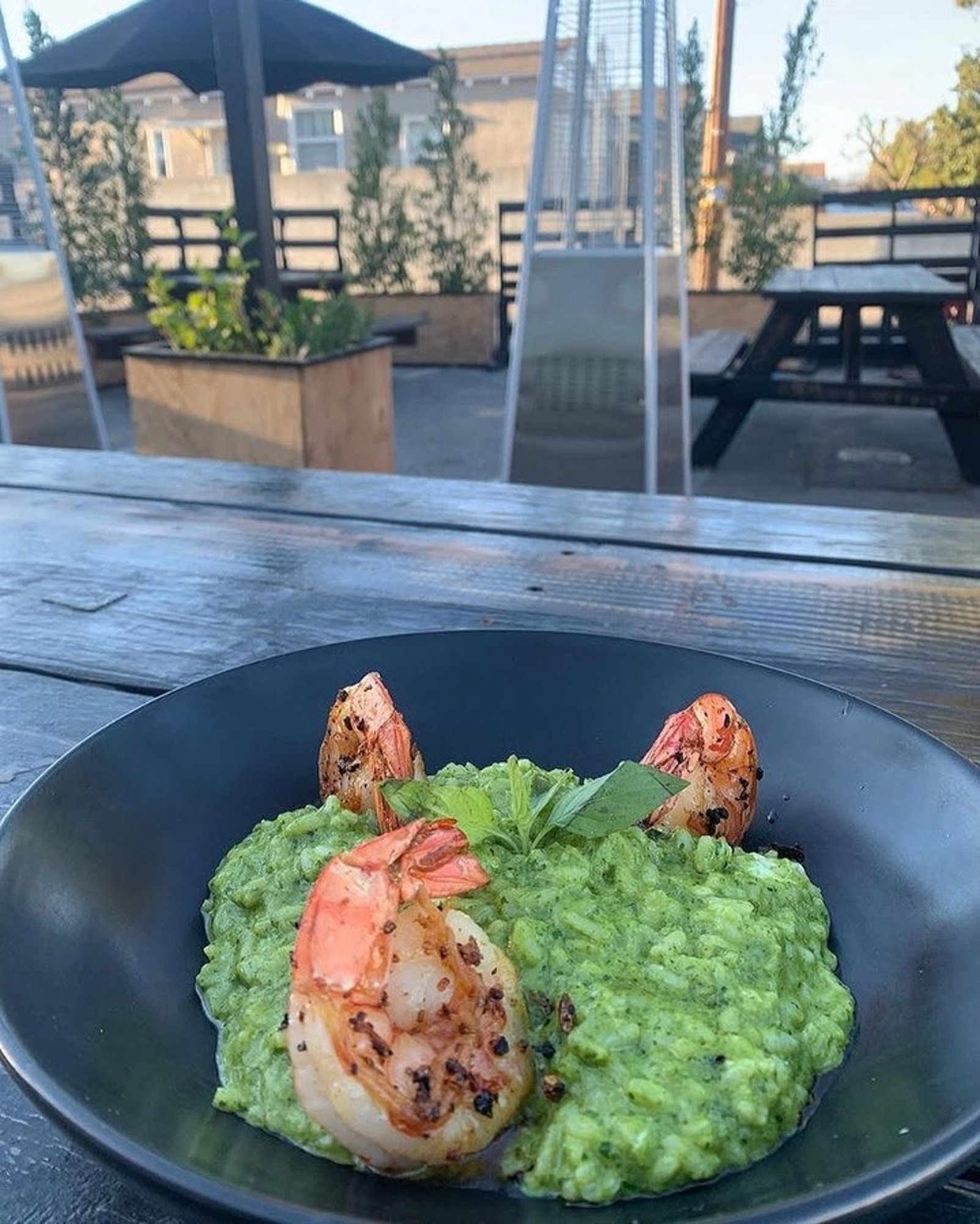 Shrimp Pesto Risotto