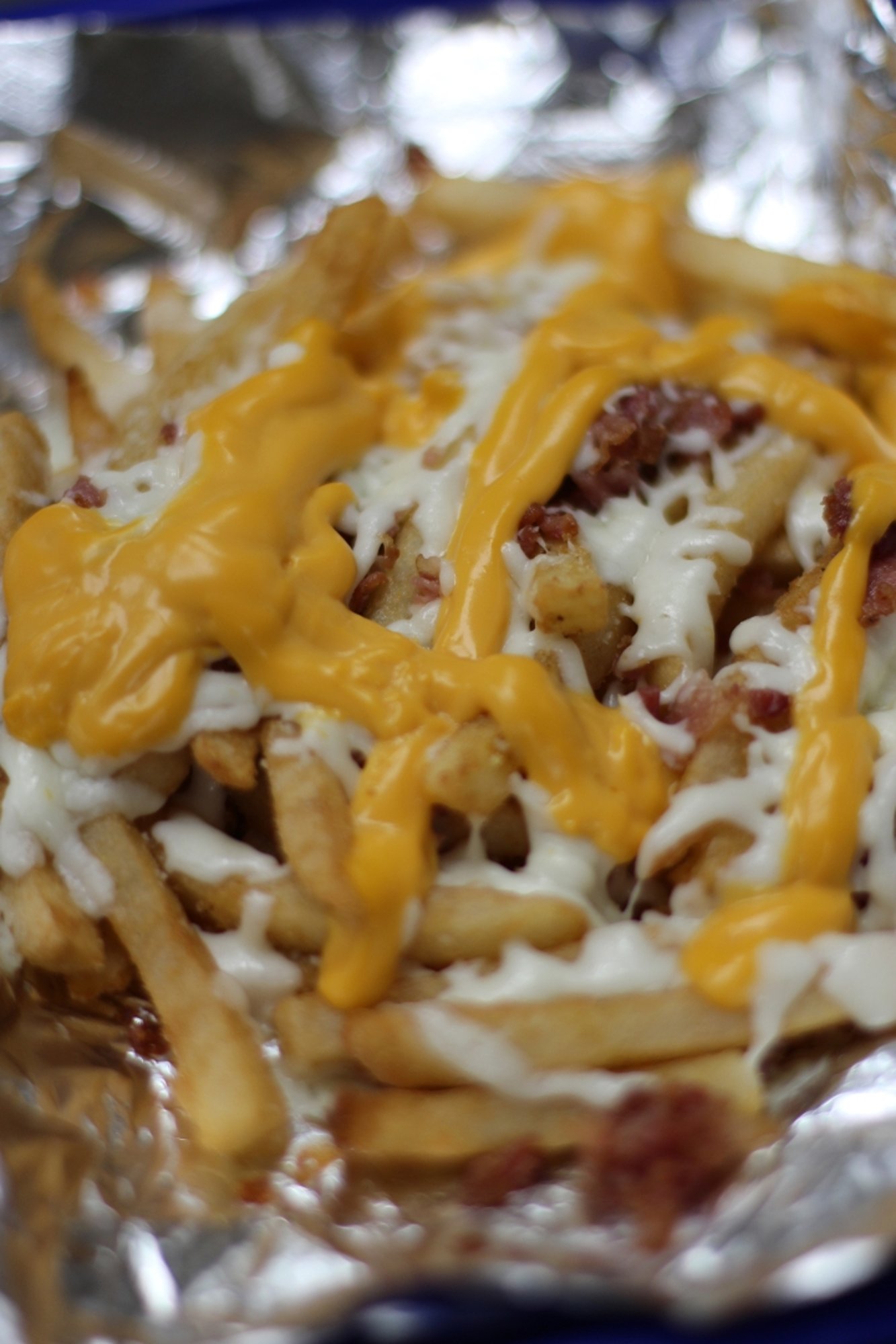 Bacon Cheese Fries