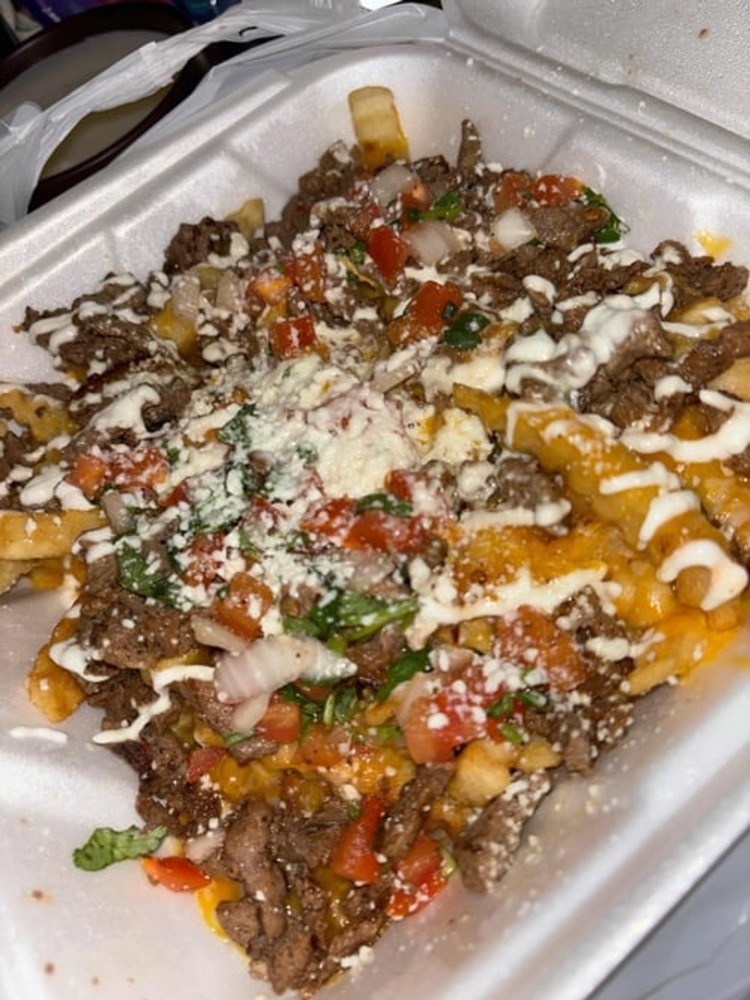 Carne Asada Fries