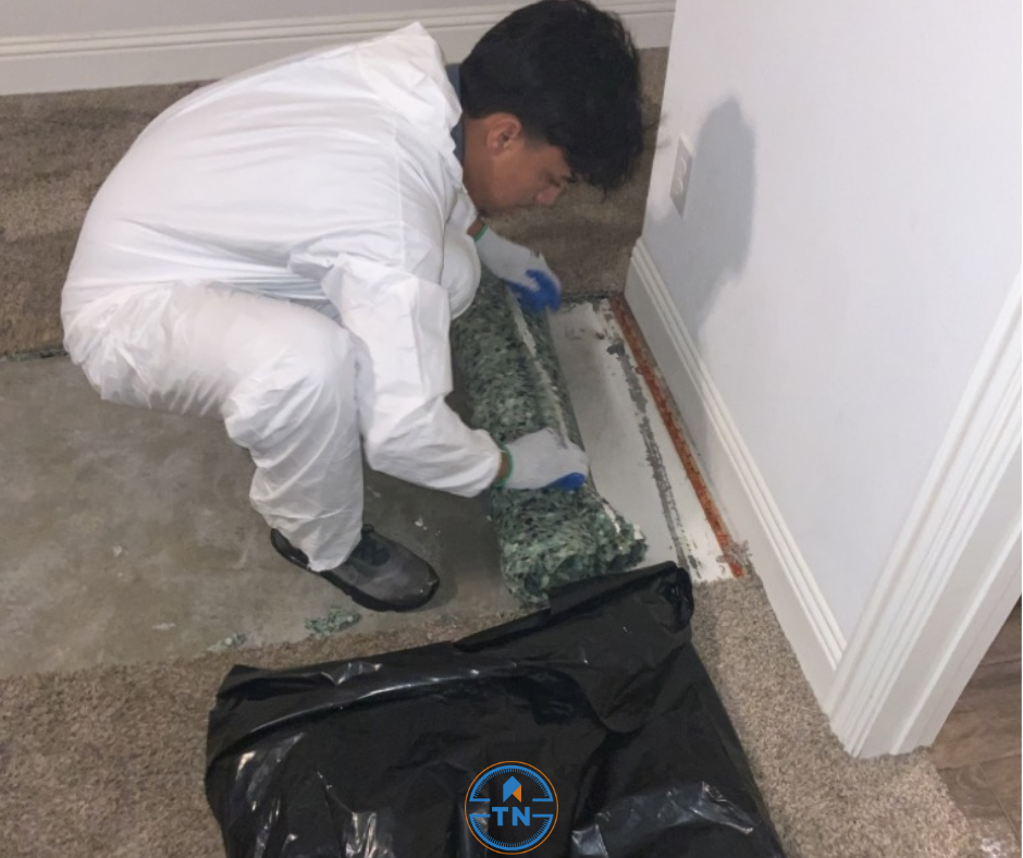 True North Restoration of Denver Image