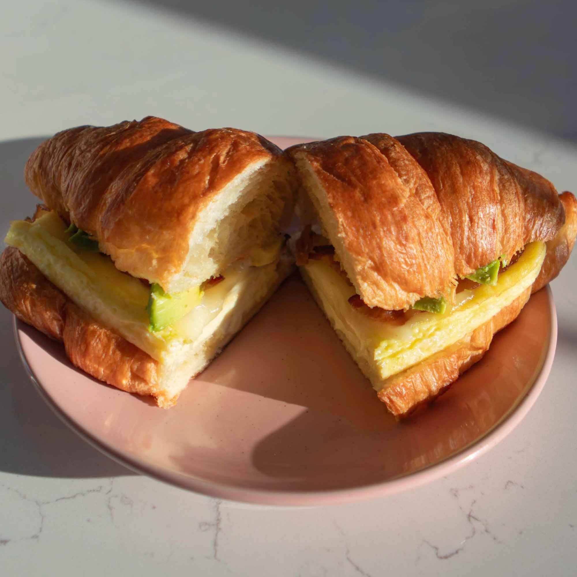 Early Bird Sammie