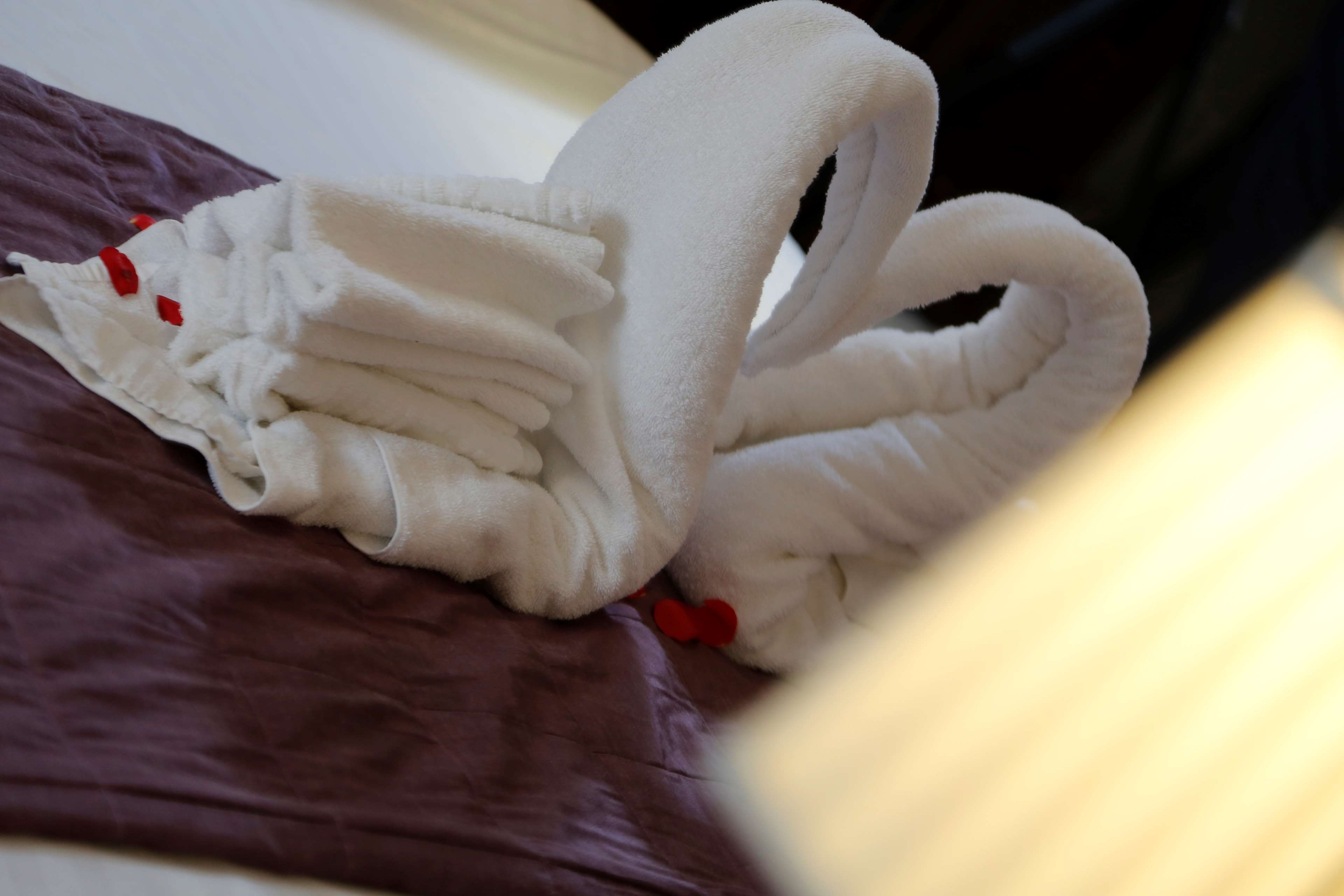 Images Best Western Buckingham Hotel