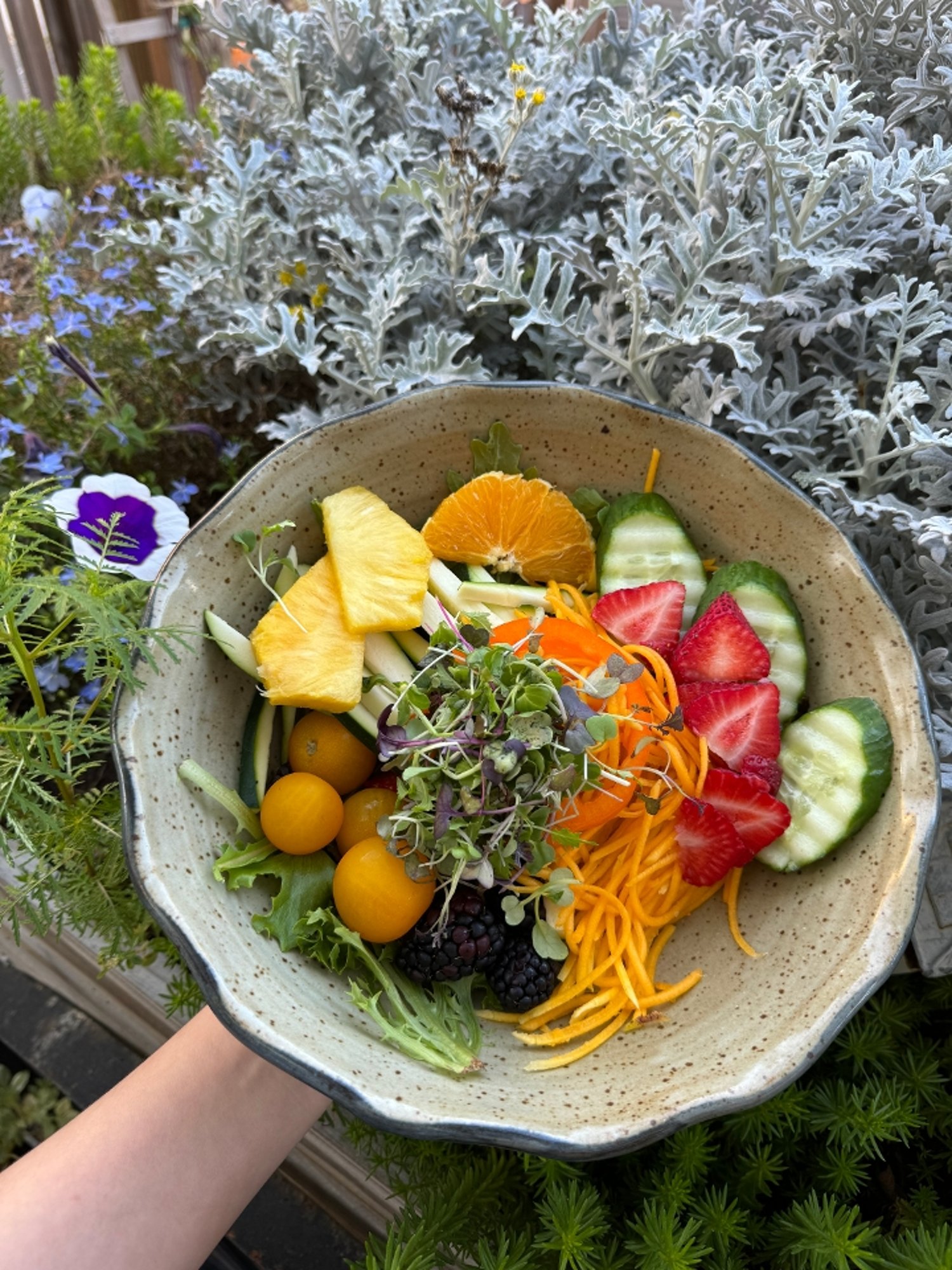 Buddha Bowl