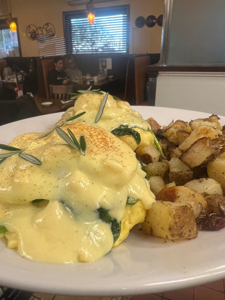 MEDITERRANEAN BENEDICT TOGO