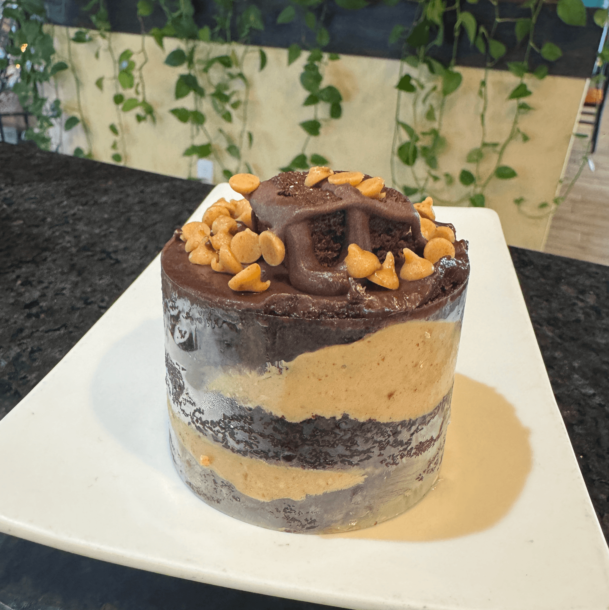 Peanut Butter Explosion